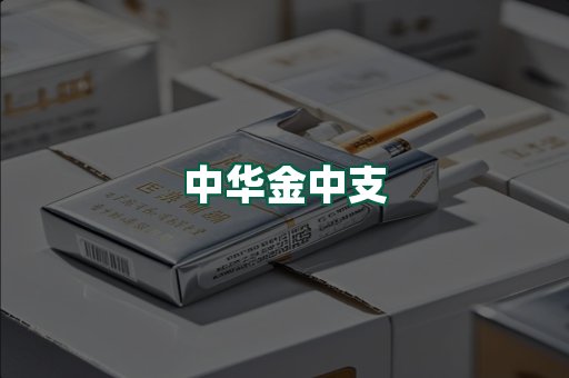中华金中支